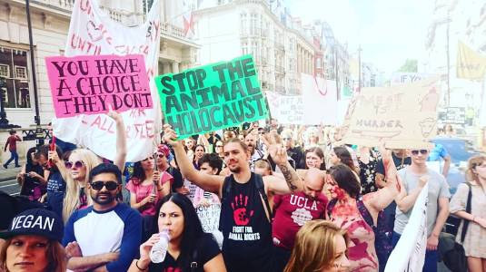 IMG_20170903_102145_453