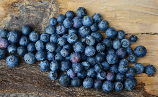 blueberries-2270379_1920