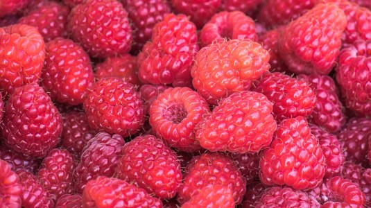 raspberries-3583005_1920 (1)